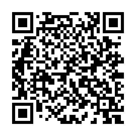 QR code for 810PIS