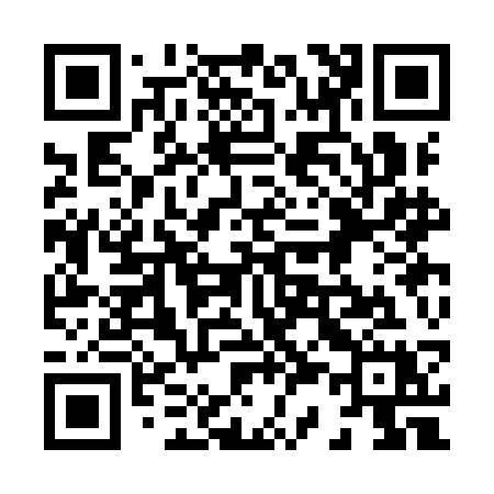 QR code for 833ICX