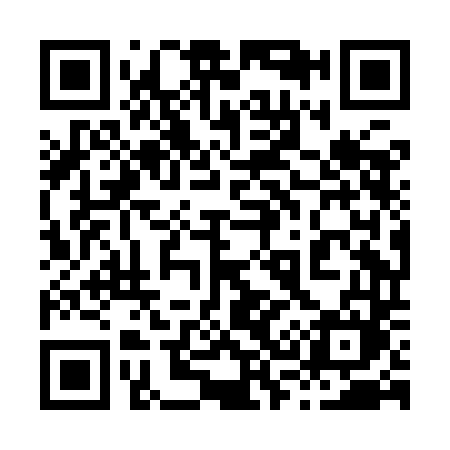 QR code for 838IDM