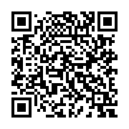 QR code for 838MIR