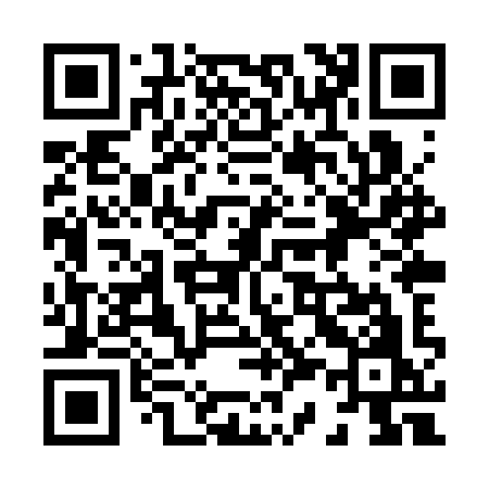 QR code for 838SYO