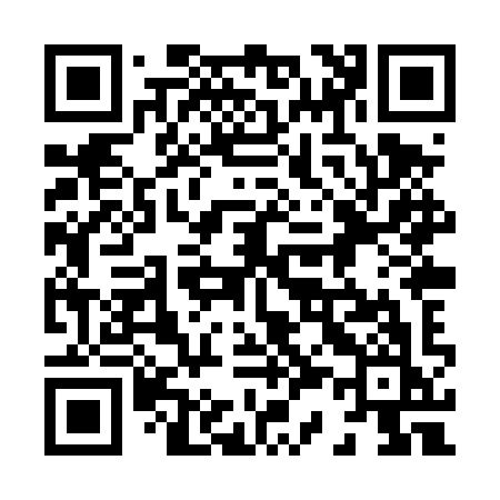 QR code for 838TYK