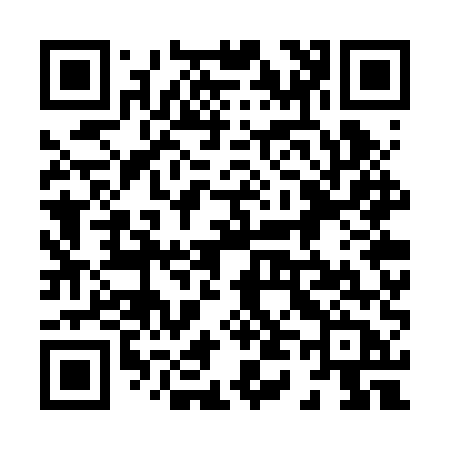 QR code for 847RUB