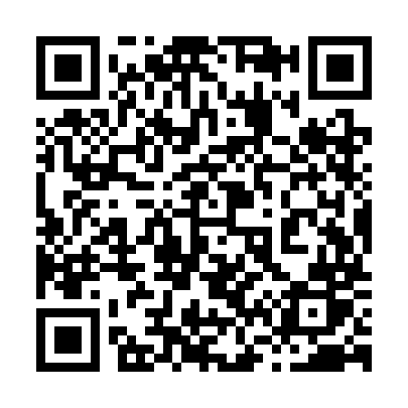 QR code for 869SMR