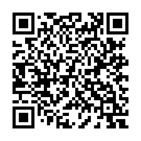 QR code for 875HAN
