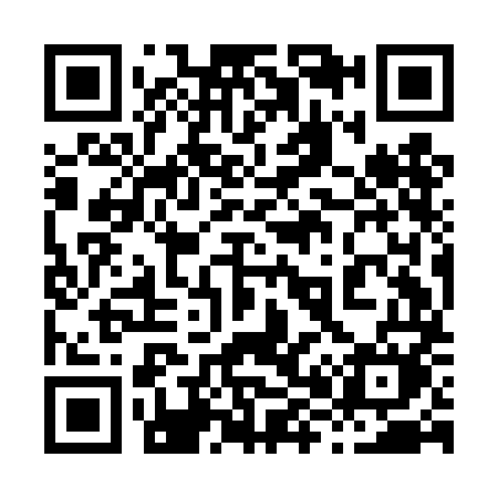 QR code for 889DMM