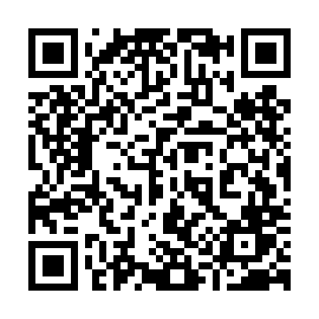 QR code for 917DMV