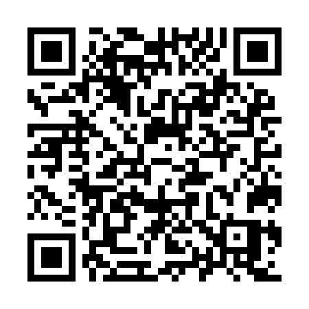 QR code for 917INS