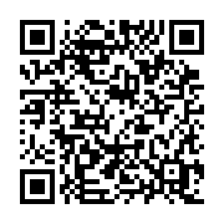 QR code for 919CHF