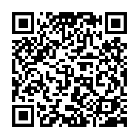 QR code for 919DSI