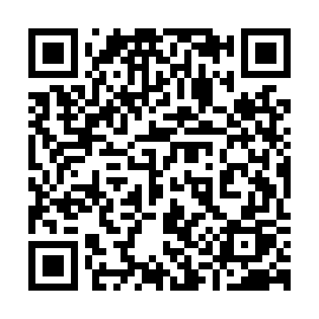 QR code for 919LWP
