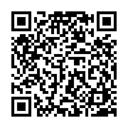 QR code for 919MCC