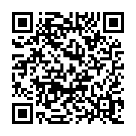 QR code for 919MQL