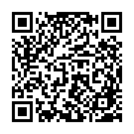 QR code for 919QDG