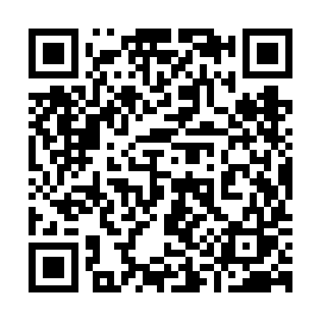 QR code for 919VIS