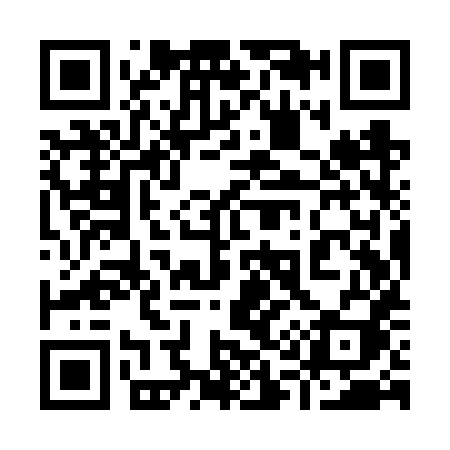 QR code for 919VXI