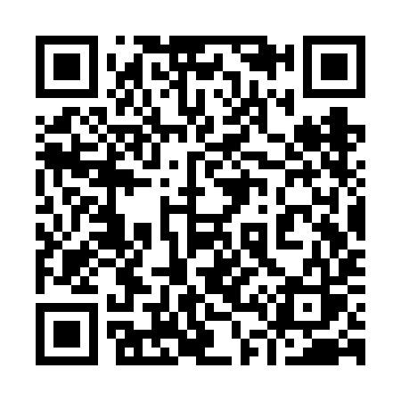 QR code for 943VIS