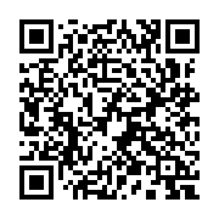 QR code for 953IFA