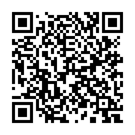 QR code for 953JIA