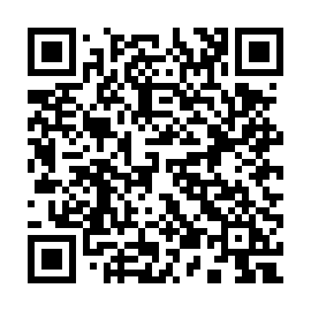 QR code for 955DPI