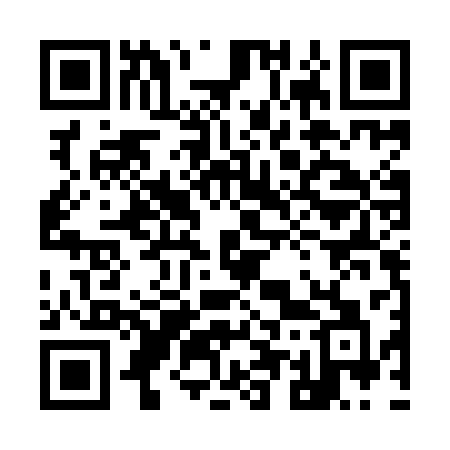 QR code for 955ICA