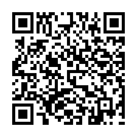 QR code for 955ICD
