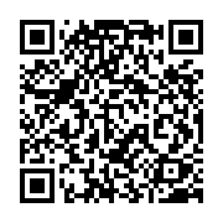 QR code for 955MCX