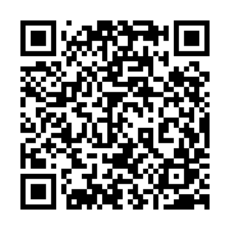 QR code for 955QIR