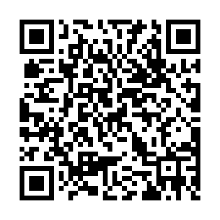 QR code for 956QIP