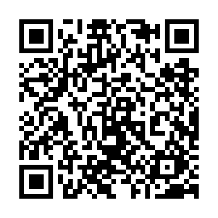 QR code for 960WBO