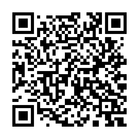 QR code for 966GPS