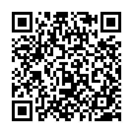 QR code for 966MHL