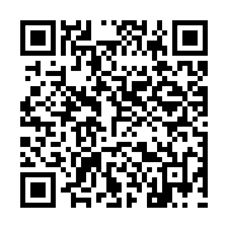 QR code for 966SYN