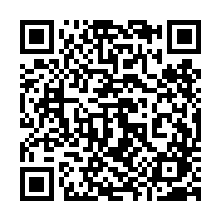 QR code for 991DDO