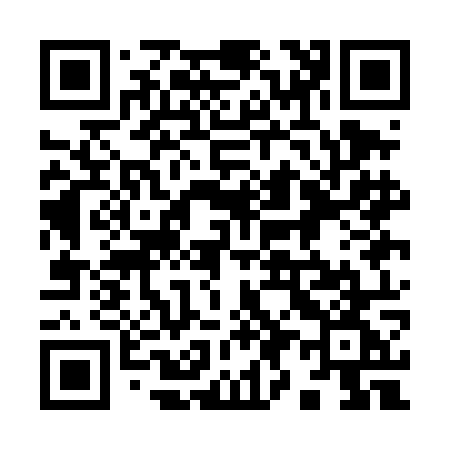 QR code for 991DOG