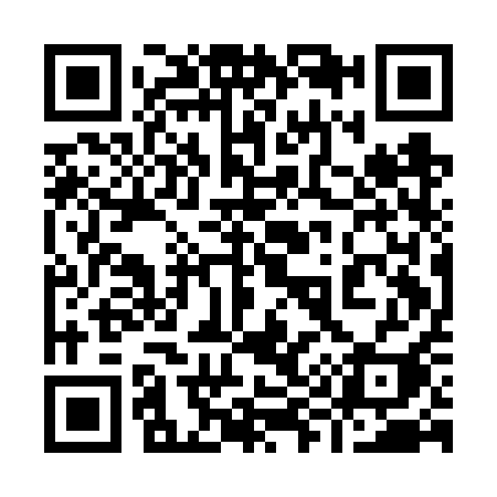 QR code for 991FQI