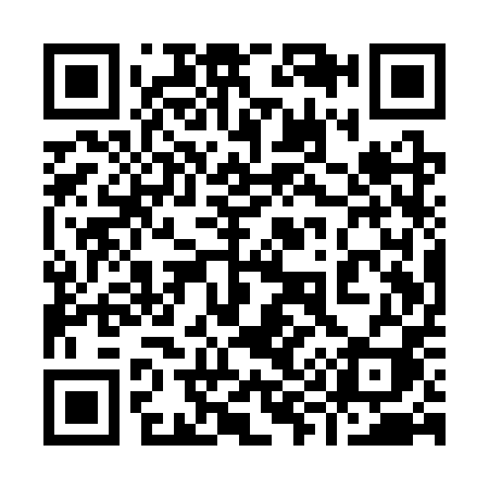 QR code for 991SPI