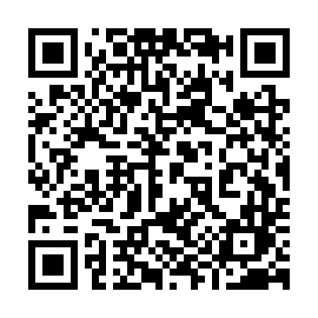 QR code for 993CTL