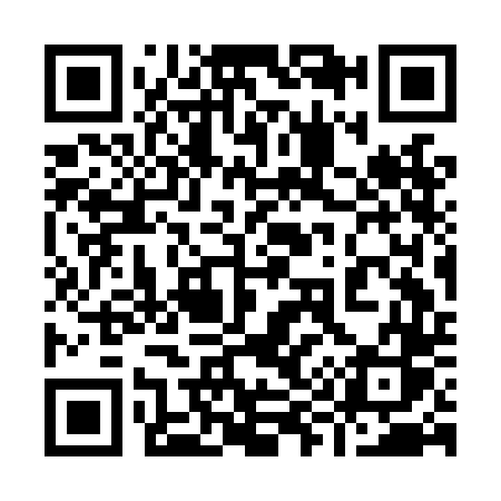 QR code for 993LDS
