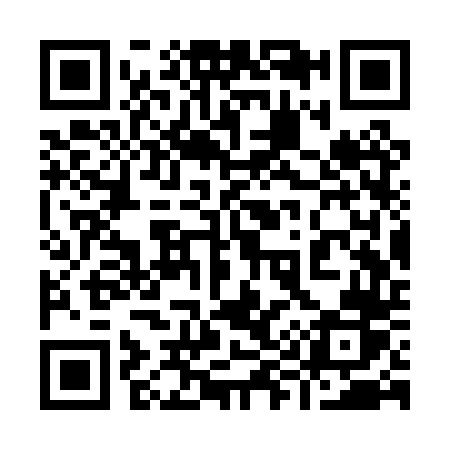 QR code for 993PTR