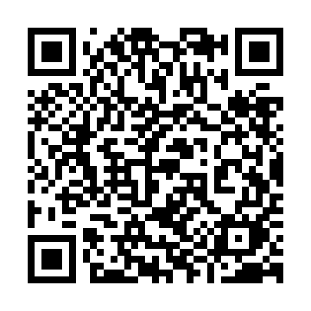 QR code for 993ZEM