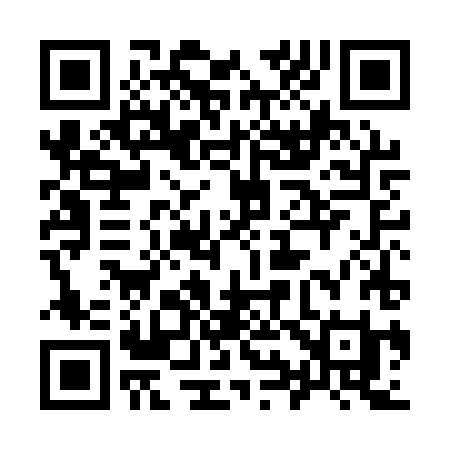 QR code for 994AXI