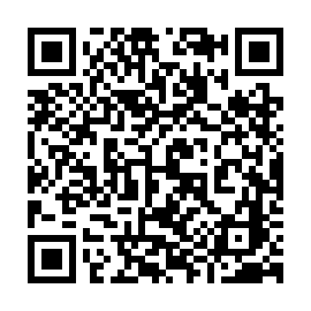 QR code for 994SFC