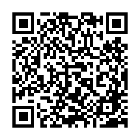 QR code for 995TDG