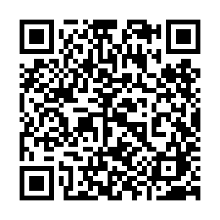 QR code for 996TIC