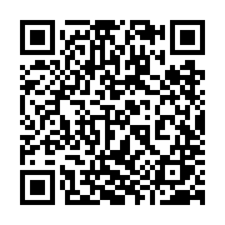 QR code for 996WMS