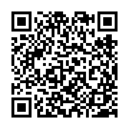 QR code for 999VMS