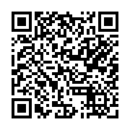QR code for AAM336