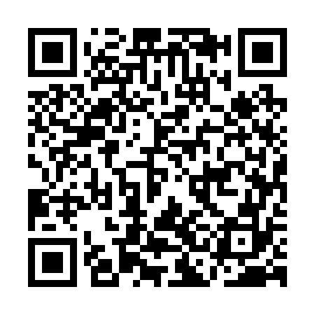 QR code for ACE272