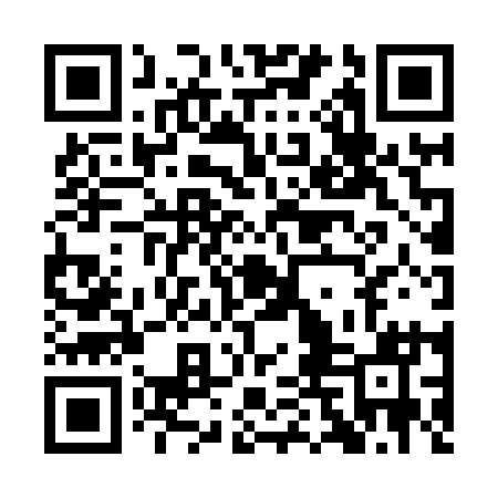 QR code for ADJ811